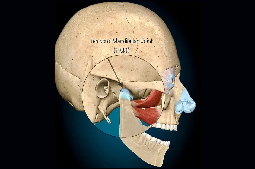 TMJ Disorder Treatment In Ahmedabad TMJ Disorder Treatment In Ahmedabad